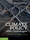 Climate Policy after Copenhagen (eBook): The Role of Carbon Pricing